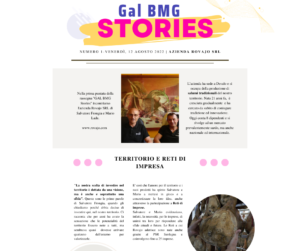 Rovajo Srl_bmg Stories